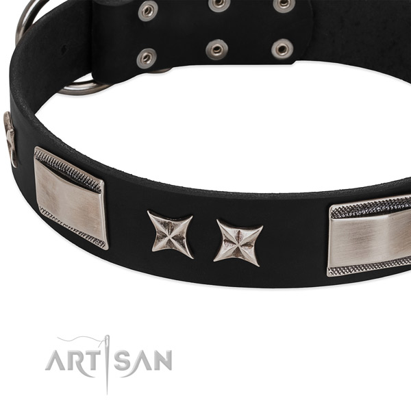 Quality full grain leather dog collar with corrosion proof buckle