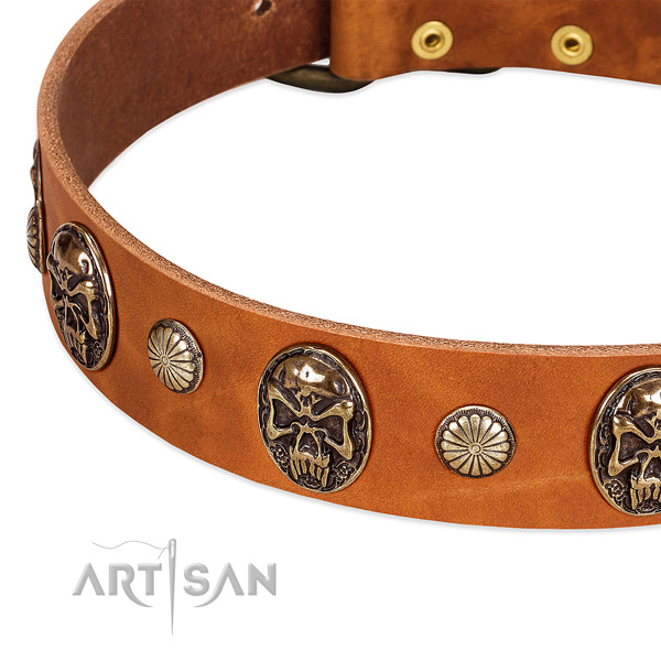 Strong D-ring on full grain leather dog collar for your canine