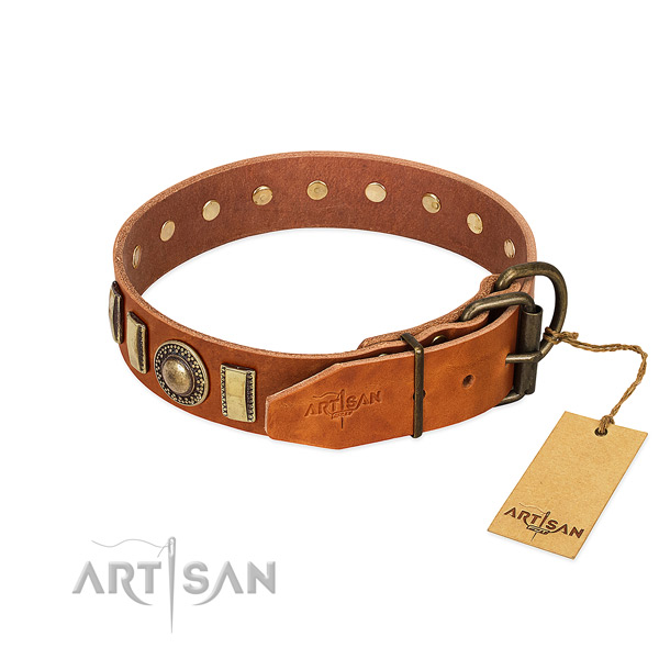 Adorned leather dog collar with durable D-ring