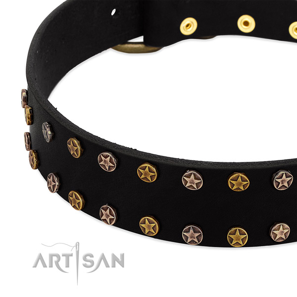 Extraordinary decorations on leather collar for your canine